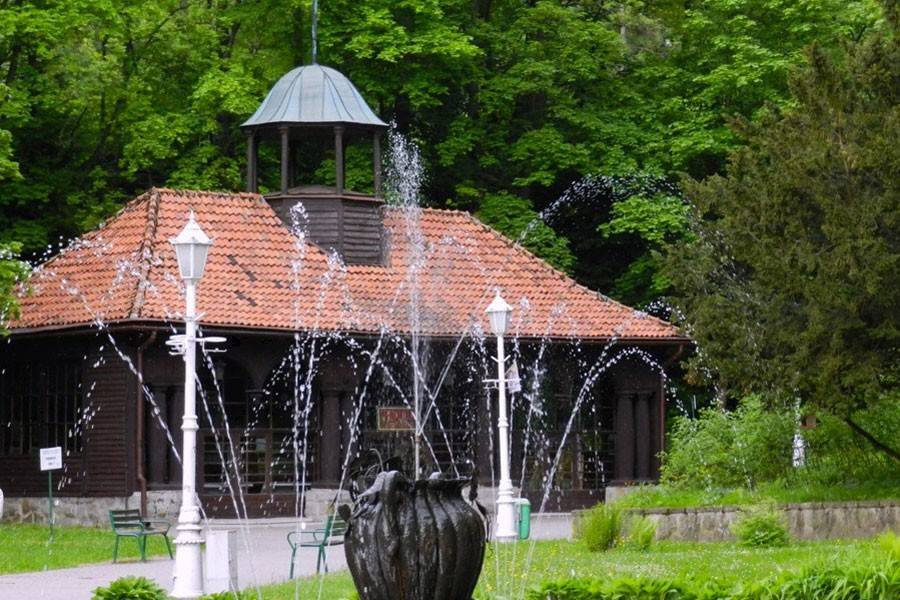 Pensjonat Soplicowo - Krynica-Zdrój