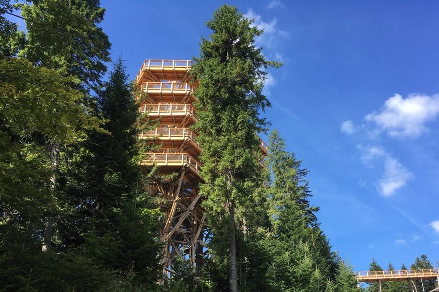 Pensjonat Zdrowie - Krynica-Zdrój - Pasjonata Uzdrowiska