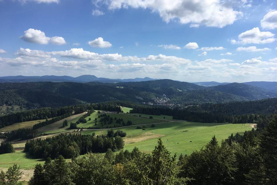 Pensjonat Zdrowie - Krynica-Zdrój - Pasjonata Uzdrowiska