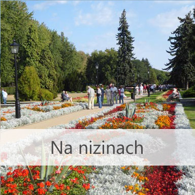 Turnusy rehabilitacyjne - niziny